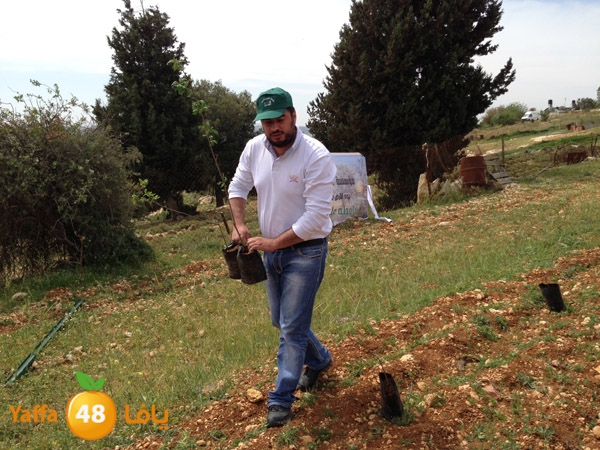 ludandyaffazaitoon (28).JPG